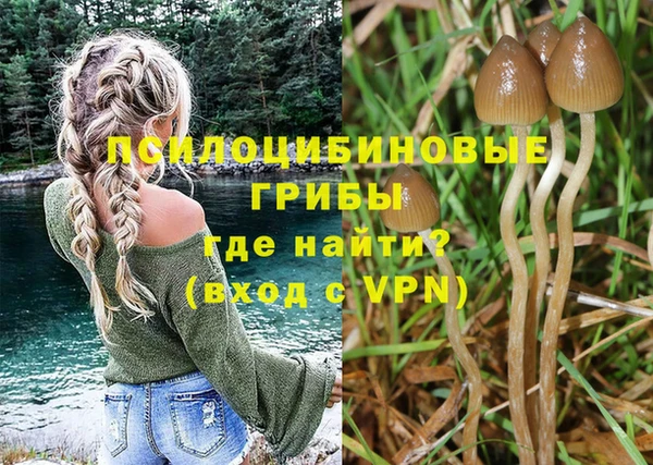 мдпв Балабаново