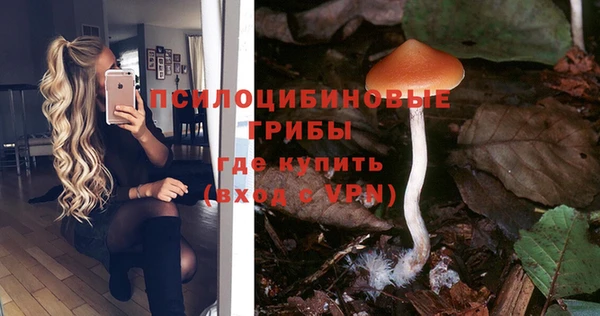 мдпв Балабаново